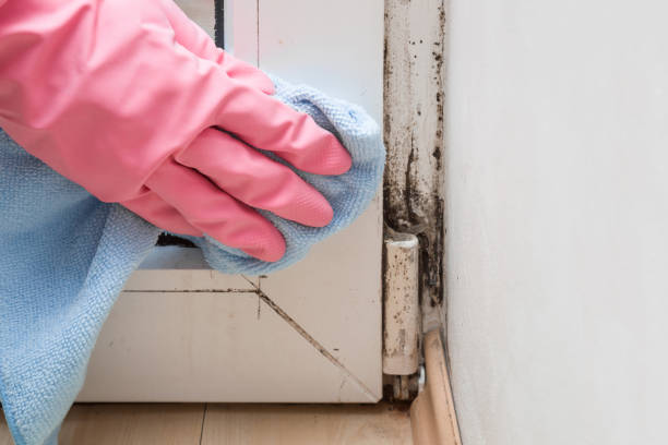 Water Damage Restoration in Davenport, IA
